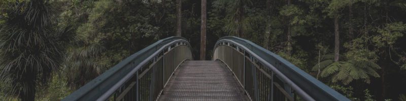 guilt vs. grace