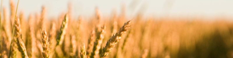 It's About Time, Part One of a Series on Stewardship with pastor Chad Stuart