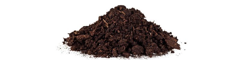 Pile of manure on a white background