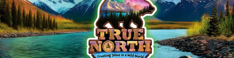 true north logo with a bear in front of a mountain river