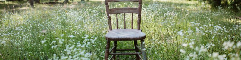 chair in the middle of a meadow surrounded by trees